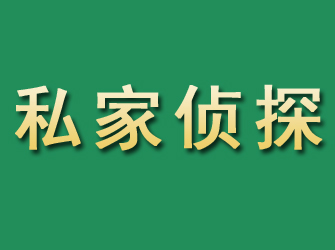 南市市私家正规侦探